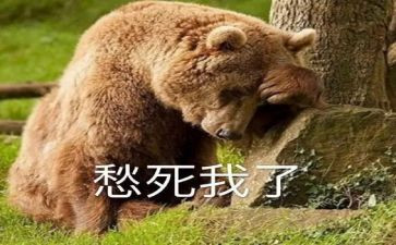 有关愁的作文600字作文通用7篇