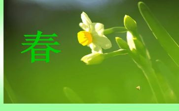 青春与奋斗的作文精选8篇