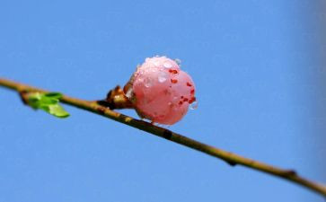 学生青春期心得体会8篇