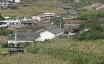 村小学调研报告5篇