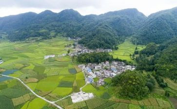 村实习报告5000参考7篇