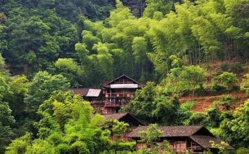 村参加培训后心得体会精选6篇