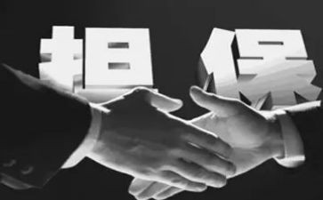 融资担保公司工作总结5篇