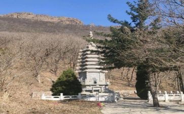 道士塔的读后感8篇