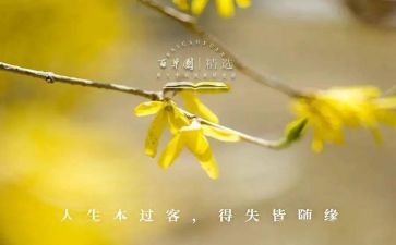 现代科技的得与失作文7篇
