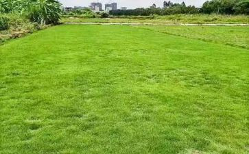 初中地理教师年度总结6篇