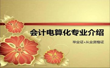 会计电算化专业实习报告6篇
