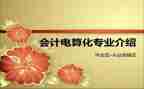 电算化工作总结5篇