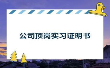 设计顶岗实习报告精选5篇