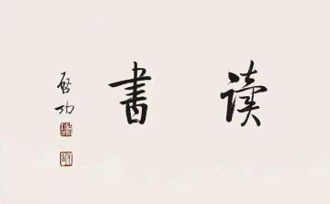塔铺读后感400字最新6篇