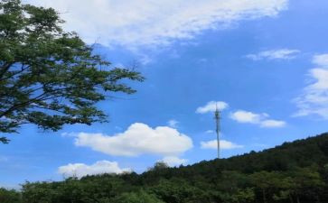 哦,对不起作文模板8篇