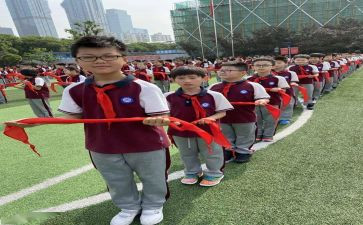 少先队优秀队员事迹优质5篇