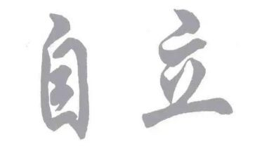 公司独立董事述职报告5篇