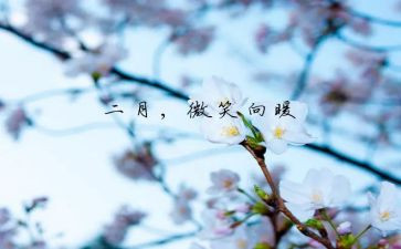 十二月份销售工作总结5篇