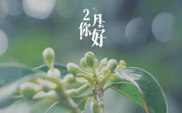 二月销售工作计划5篇