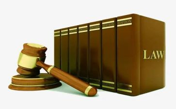 法学生实训体会心得推荐5篇