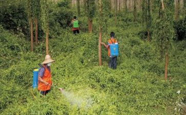 职业病防治的工作计划5篇