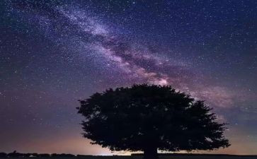 繁星春水繁星读后感5篇