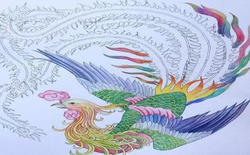 凤凰桥作文推荐5篇