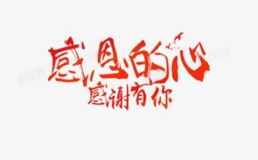 感恩老师作文800字优秀作文7篇