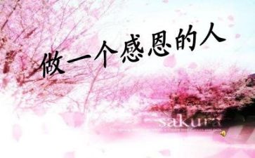 作文感恩400字6篇