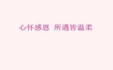 感恩为话题作文800字5篇