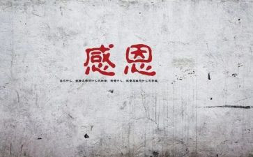 感谢她作文300字8篇