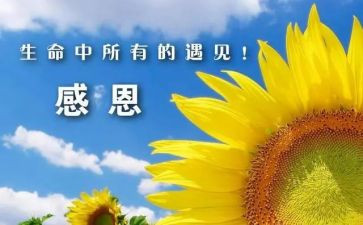 感谢她作文600字8篇