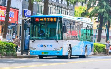 坐公交作文500字5篇