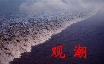观潮读后感一百字5篇
