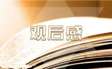 《好老师》观后感优质6篇