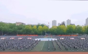 观训心得军训感悟作文7篇