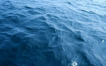 海购活动策划方案模板7篇