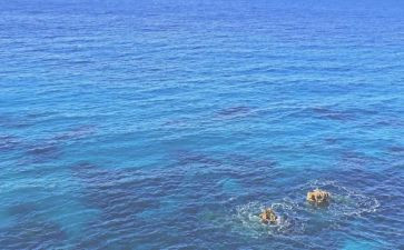 上海租房合同5篇