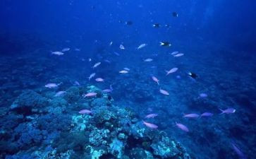海底两万里读后感400字模板7篇