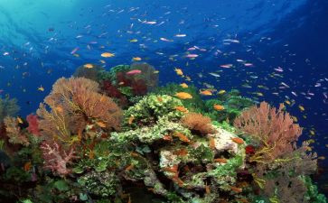 海底的读后感500字通用7篇