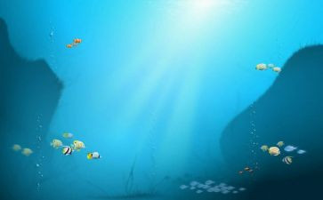 海底两万里心得感悟300推荐5篇