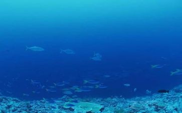 海底两万里读后感400字最新7篇