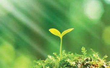 呵护眼睛预防近视教案5篇