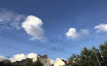 我想看很优秀作文最新8篇