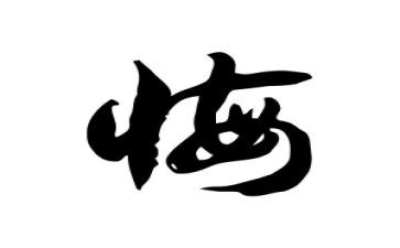 我不后悔优秀作文7篇