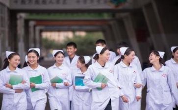 2024年科护理工作计划推荐5篇