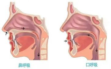 呼吸内科月总结最新5篇