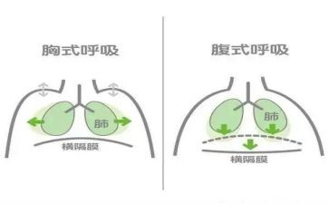 呼吸内科的自我鉴定5篇