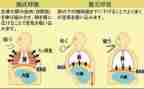 呼吸科2024年工作总结优质7篇