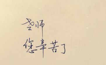 教师证的培训计划最新5篇