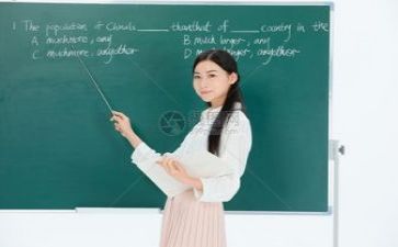 培训教师的工作总结精选6篇