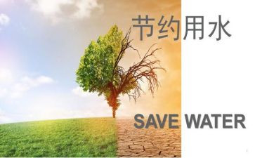 节约的演讲稿300字8篇