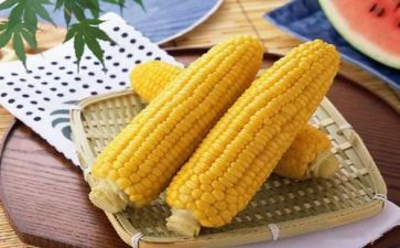 收玉米合同5篇