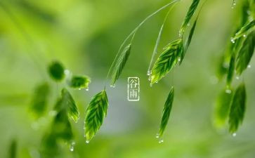节气的心得体会7篇